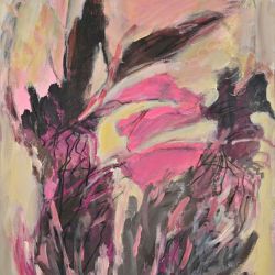 No rose 70x50 2024